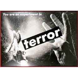 UNTITLED (YOU ARE an EXPERIMENT IN TERROR)