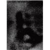 Image 1 : PERPETUAL PHOTO NO. 217 B, 1982-1989