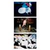 Image 1 : DECORATIVE TOILET LIDS WITH COLORED BAGS LOOKING AROUND SNOW COVERED PILE
