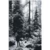 Image 1 : PHOTOGRAPHS 1-9