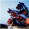 Image 1 : SOYUZ TM. DREAMTIME