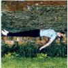 Image 1 : THE WALL (FRANCIS PLACE) (I)