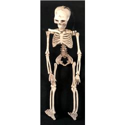 31 (Rob Zombie 2016) - Skeleton From Camper Dashboard