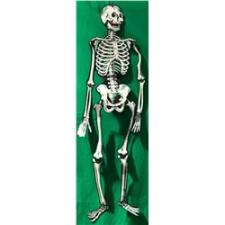 31 (Rob Zombie 2016) - Halloween Decoration from Gas Station - Lot D Skeleton