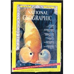 Honey I Blew Up the Kid (1992) - Miniature National Geographic Magazine Set