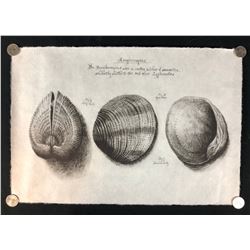 Alien: Covenant (2017) - Screen Used Artwork from David's Room (Michael Fassbender) - Lot A