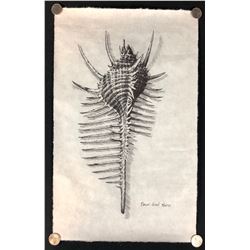 Alien: Covenant (2017) - Screen Used Artwork from David's Room (Michael Fassbender) - Lot B