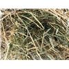 Image 2 : 2nd Cut Alfalfa Hay, no rain, 1790 lb bales, vg shape Will be sold in 32 groups of 10.