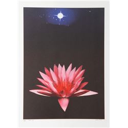Michael Knigin, Lone Lily, Lithograph