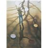 Image 1 : Robert Remsen Vickrey, Balloon Dance, Serigraph