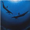 Image 2 : Dolphin Serenity by Wyland