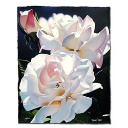 Two White Roses by Davis, Brian