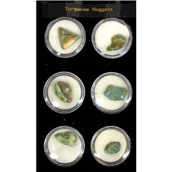6 Turquoise Nuggets in Display Case