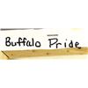 Image 3 : Original Oil Painting ''Buffalo Pride''