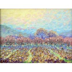 Kim Wiggins - Oil on Canvas