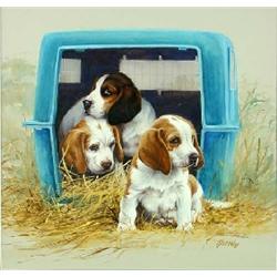 Jim Killen - Watercolor