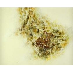 Chester Fields - Oil on Canvas