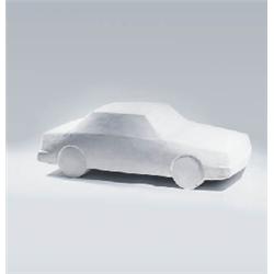 AUTO (CAR SCULPTURE)