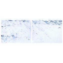 SCHNALSTALGLETSCHER III