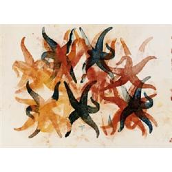 STARFISH (ASTERIAS MURRAYI)