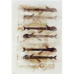 LONG DEEP-SEA TOOTHY FISH (CAULIODUS SLOANI)