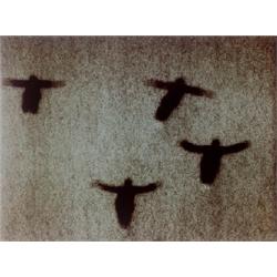 O.P.G.A.N. II (13-V)