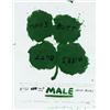 Image 1 : MALE BONDING