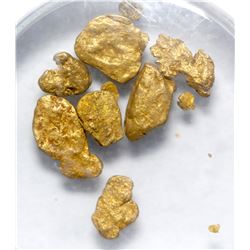 S.S. Central America Gold Nuggets  (88860)