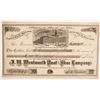 Image 1 : I M Wentworth Boot and Shoe Company Stock  (86766)