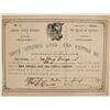 Image 1 : Soda Springs Land and Cattle Company Stock  (87921)