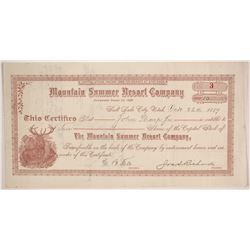 Mountain Summer Resort Company Stock  (86760)