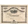 Image 1 : Dowlin and Rush Cattle Company Stock  (87927)