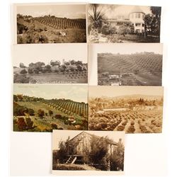 Real Photo Postcards  (88268)