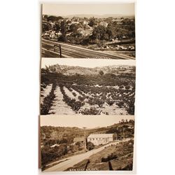 Real Photo Postcards  (88264)