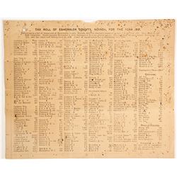 Tax Roll for Esmeralda County, 1901  (99881)