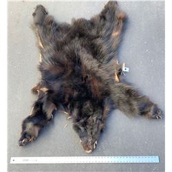 Black Bear Pelt  (86466)