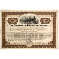 The Naugatuck Railroad Co   (87010)