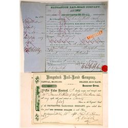 The Naugatuck Railroad Co (2)  (87011)