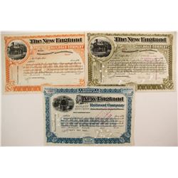The New England Railroad Co stock (3)  (87024)