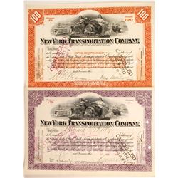 New York Transportation  Co stock (2)  (88904)