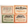 Image 1 : Nassau Electric Railroad Co stock (4)  (87013)