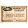 Image 1 : New York and Staten Island Traction Co  (87053)