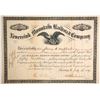 Image 1 : Neversink Mountain Railroad Co  (87005)