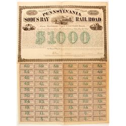 Pennsylvania and Sodus Bay RR bond  (83827)