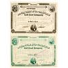 Image 1 : Louisville & Nashville Rail Road Co - 2 stocks  (83824)