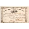 Image 1 : South Side Rail Road Co stock  (83754)
