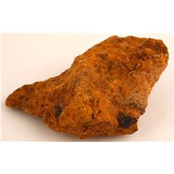 Red Lion Mine  (61134)