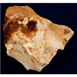 Scraper Springs Occurrence  (61128)