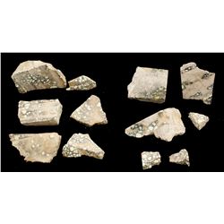 Verde Black Web Turquoise  (61505)