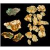 Image 1 : Variety of Variscite Specimens  (61513)